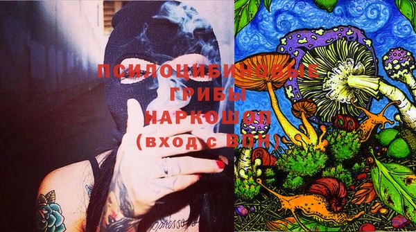 apvp Михайловск