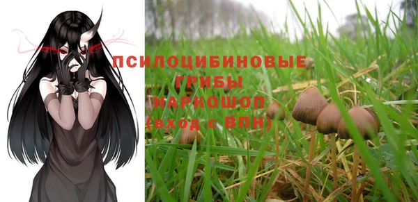 apvp Михайловск