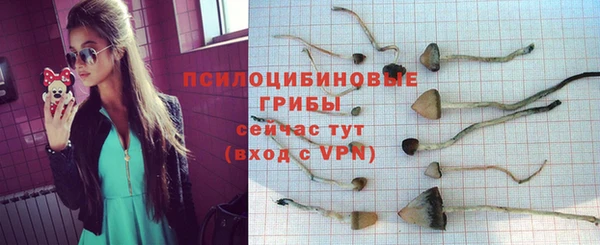 a pvp Михайловка