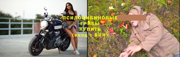 apvp Михайловск