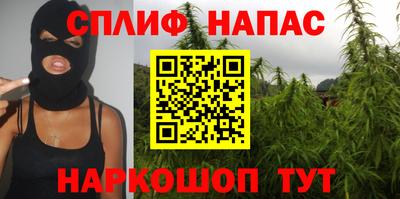 спиды Будённовск