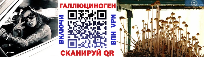 Галлюциногенные грибы мухоморы Донецк