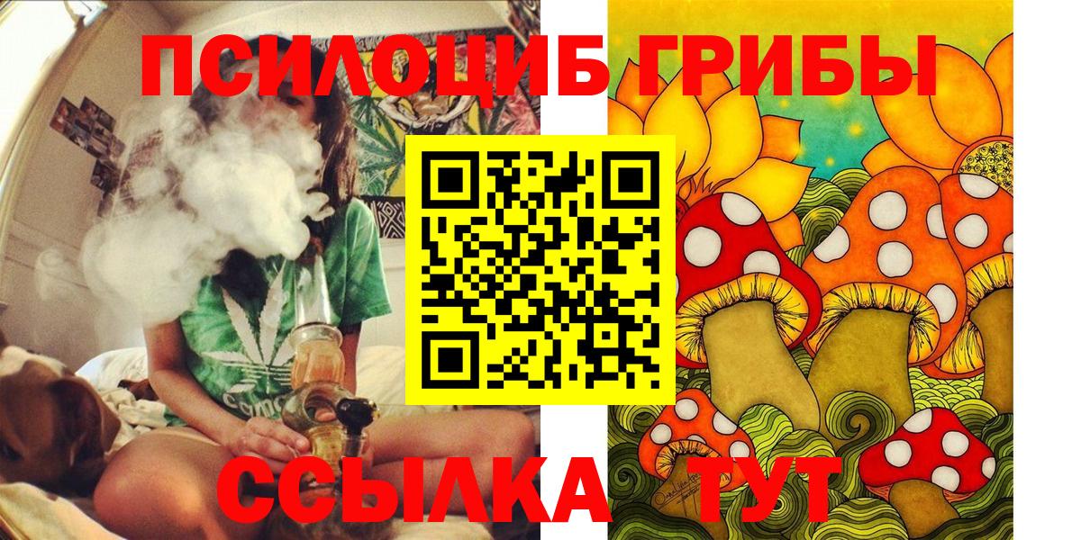 Псилоцибиновые грибы Psilocybe  Галлюциногенные грибы мицелий  Донецк 