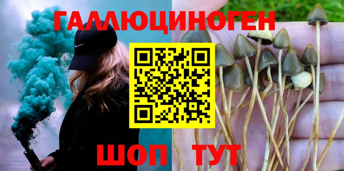 Псилоцибиновые грибы Psilocybe  Псилоцибиновые грибы Magic Shrooms  Вход с VPN  Донецк 