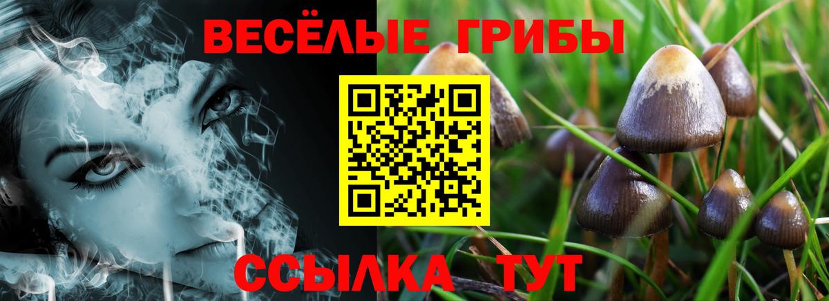 Галлюциногенные грибы Psilocybine cubensis Донецк